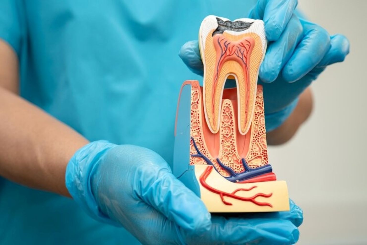 7 Signs You Might Need a Root Canal (Don&rsquo;t Ignore These Symptoms)